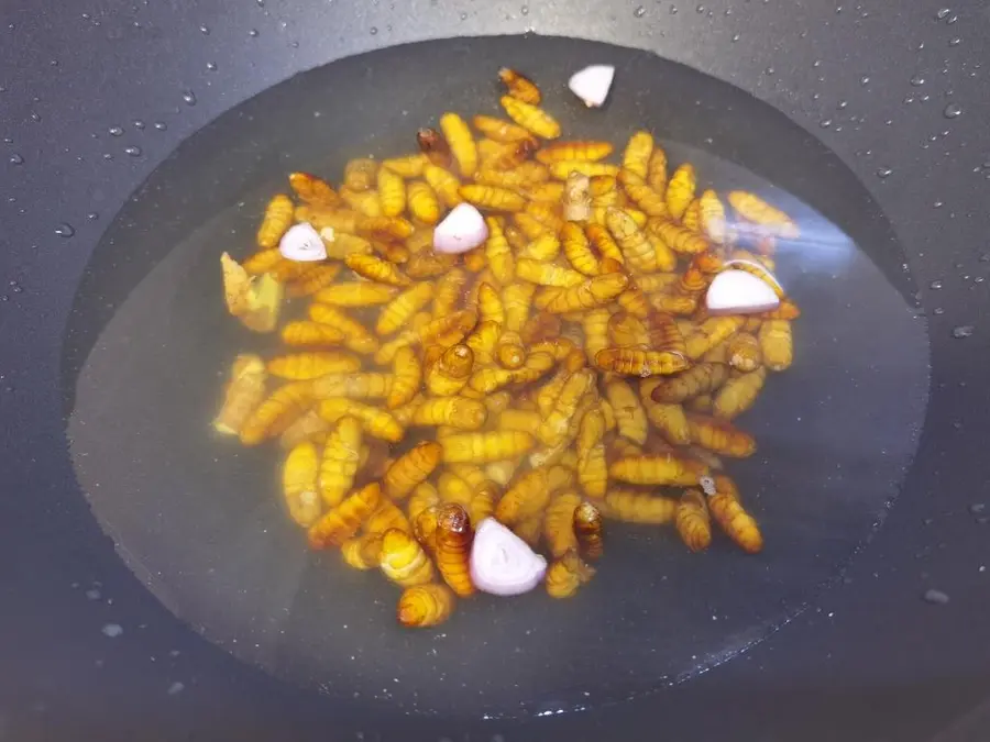 Soul Supper/Appetizer: Air Fryer Cicada Pupa step 0