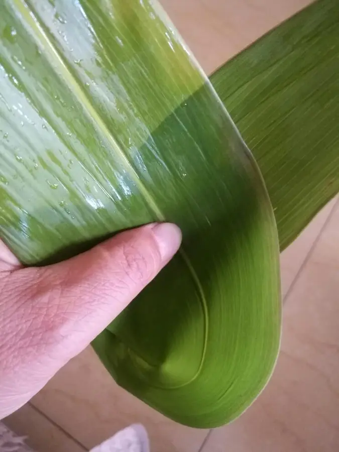 The steps of making zongzi are demonstrated step 0