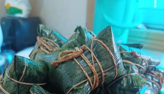 Guangdong Jiaxing zongzi