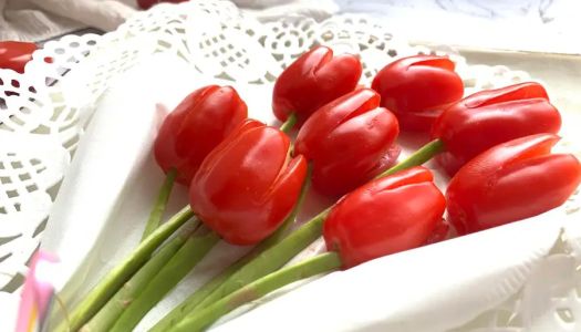 Tulip flowers bloom - small tomato version