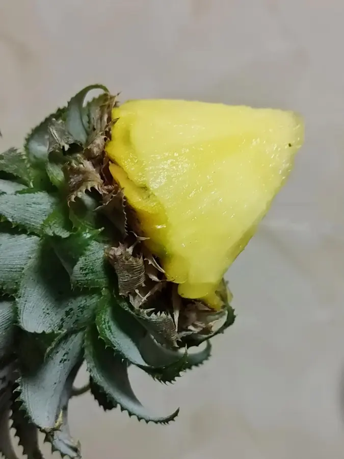 The high-value atmosphere is full: pineapple rice with birds singing and flowers step 0