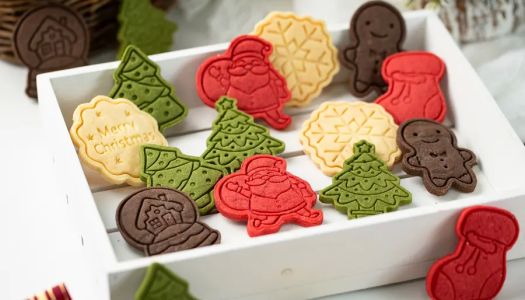 Christmas Special: Amazing Christmas Print Cookies!