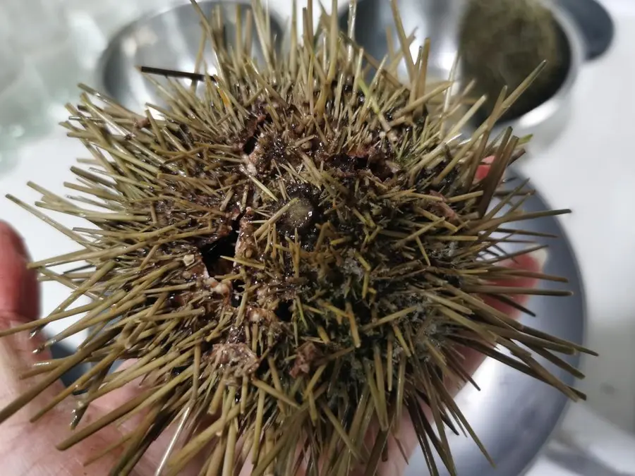 Steamed eggs  with sea urchin step 0