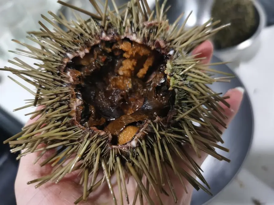 Steamed eggs  with sea urchin step 0