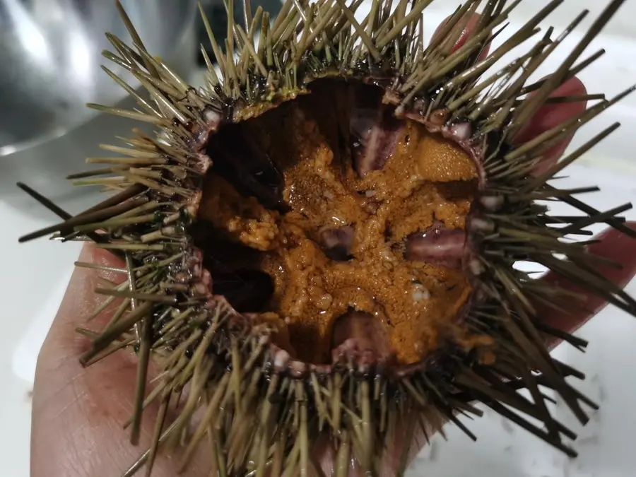 Steamed eggs  with sea urchin step 0