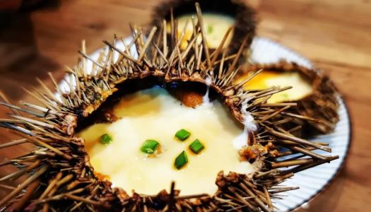 Steamed eggs  with sea urchin