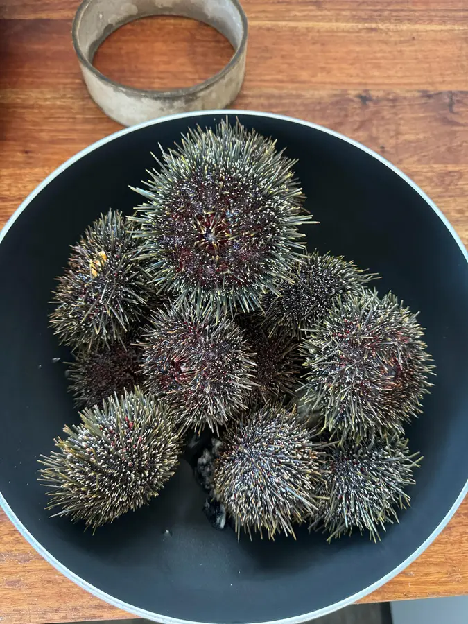 Steamed eggs with sea urchin step 0