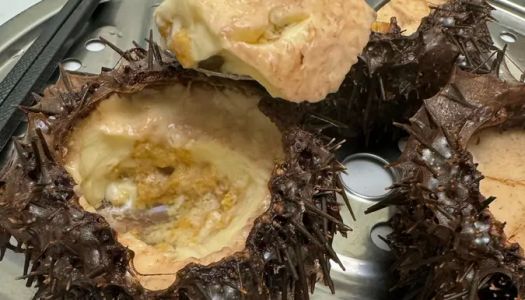 Steamed eggs with sea urchin