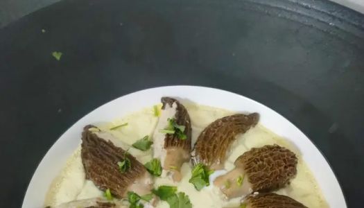 Steamed eggs with morels