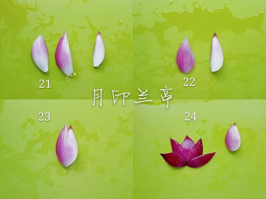 Simple and beautiful plate ornament (9) - cold spell onion lotus step 0