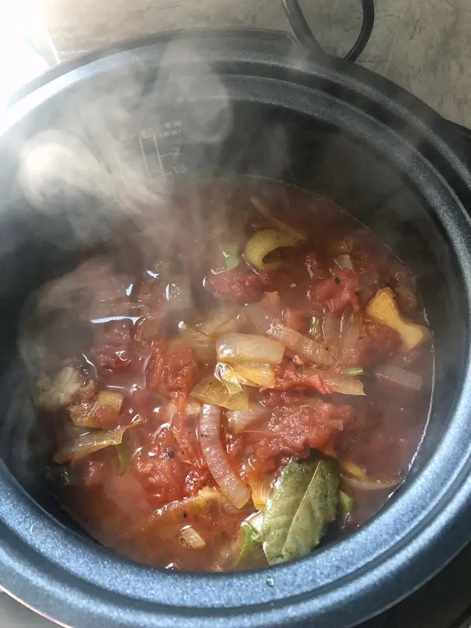 Beef brisket stew with tomato (electric pressure cooker version) step 0