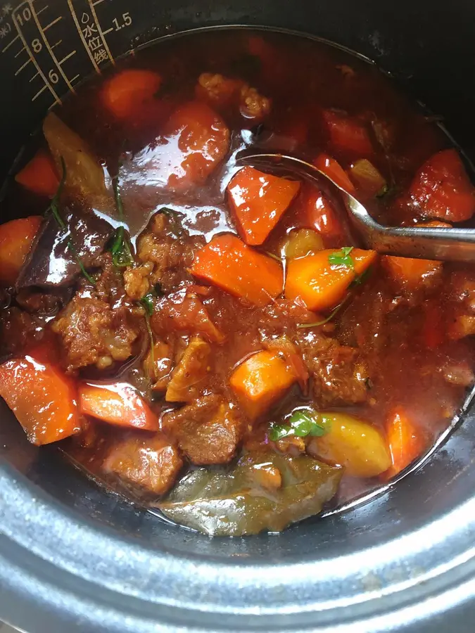 Beef brisket stew with tomato (electric pressure cooker version)