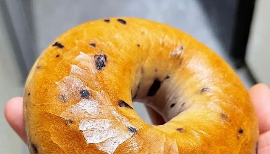 Blueberry Bagels No Sugar and No Oils (Regular & Whole Wheat)